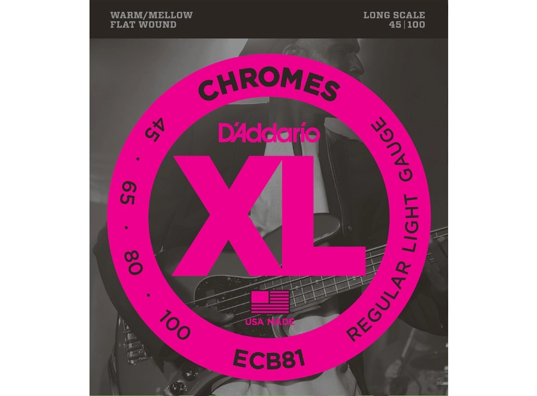 D'Addario ECB81 Chromes Bass (045-100) 
